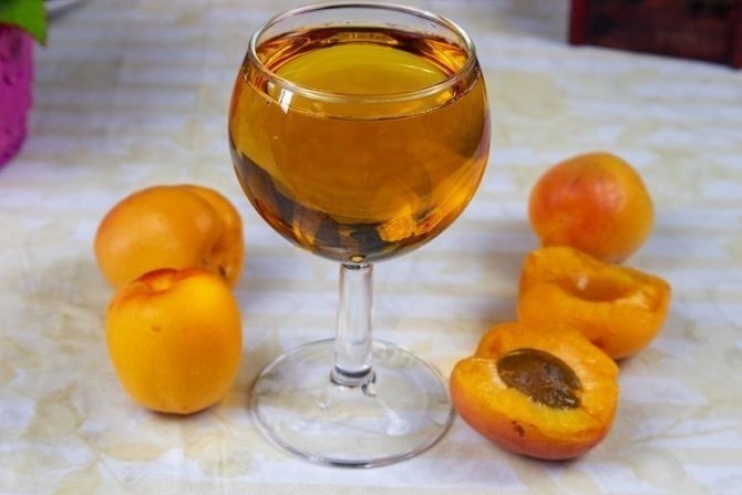 Вино из абрикосов