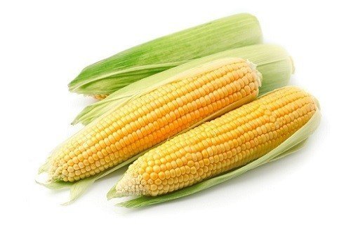Кукуруза на белом фоне