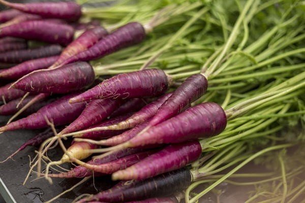 Морковь изначально была фиолетовой