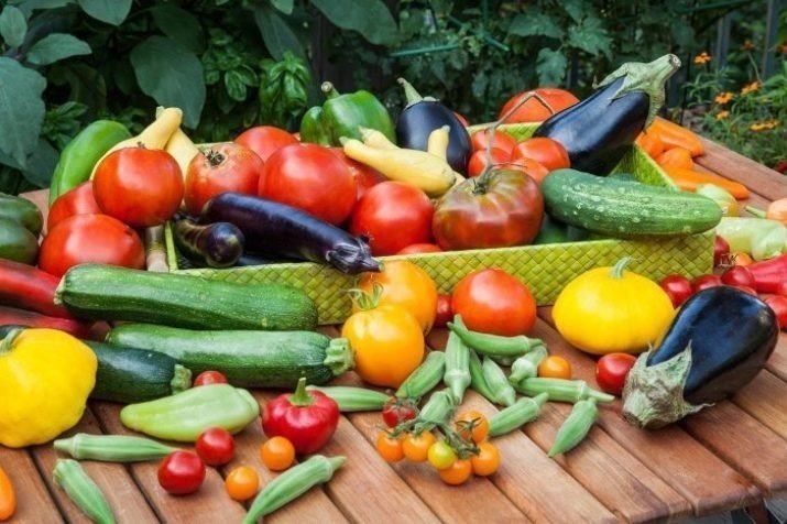 Овощи на огороде
