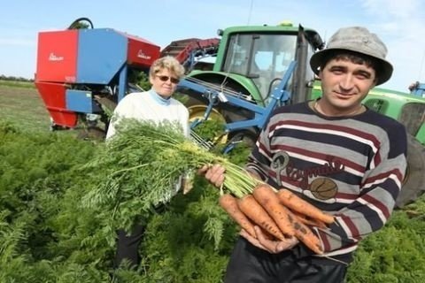 Нижегородские аграрии приступили к заготовке кормов