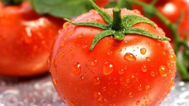 Технология: как вырастить томаты из семян в домашних условиях на рассаду