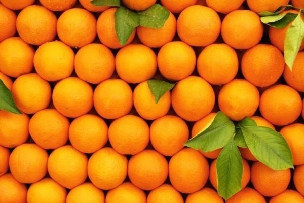 Оранжевый мандарин