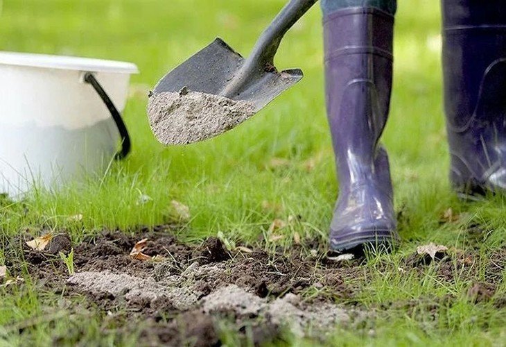 Известковые удобрения известкование почвы