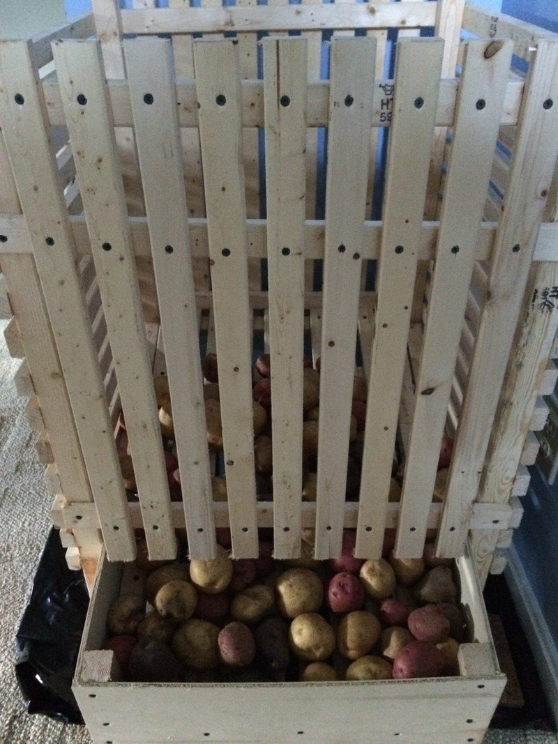 Контейнер для хранения картофеля