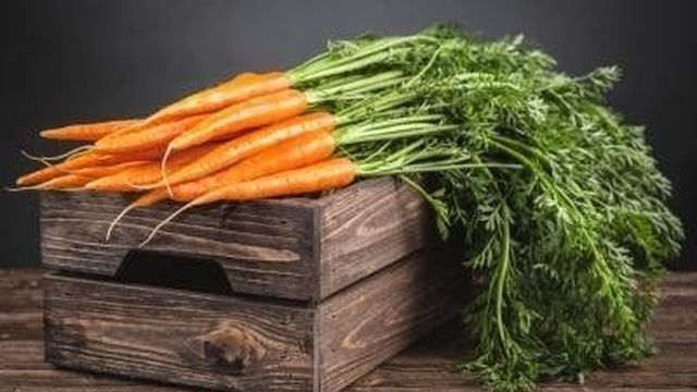 Какова оптимальная температура хранения моркови и что будет, если ее нарушить