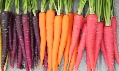 Разные сорта моркови