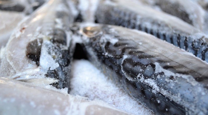 Рыба салака замороженная