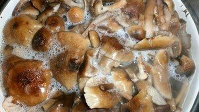 Приготовление маринада для грибов на 1 литр воды