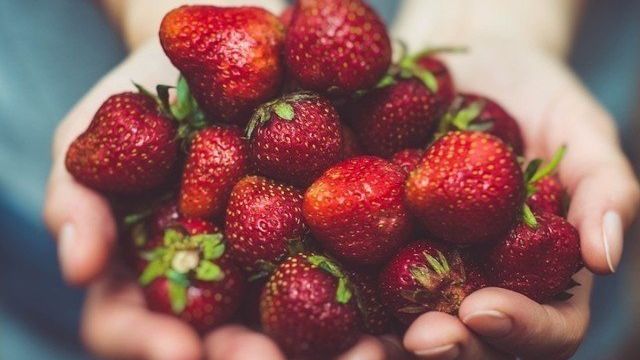 Сладкая ягодка: как сушить клубнику в домашних условиях