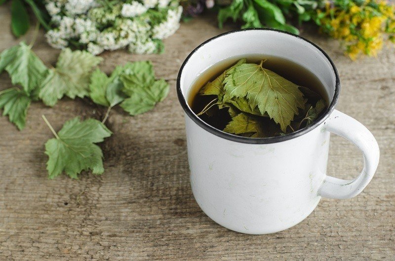 Чай с листьями смородины